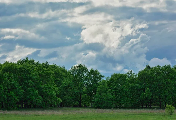 Beautiful plain sky horizon in field