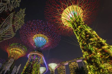 Singapur - 19 Kasım 2016: Supertrees Bay tarafından Gardens. Ağaç benzeri yapıları ağaçlar ışık ve ses gösterisi ekolojik işlevi taklit Çevre teknolojileri ile donatılmıştır