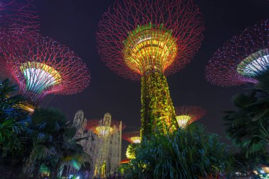Singapur - 19 Kasım 2016: Supertrees Bay tarafından Gardens. Ağaç benzeri yapıları ağaçlar ışık ve ses gösterisi ekolojik işlevi taklit Çevre teknolojileri ile donatılmıştır