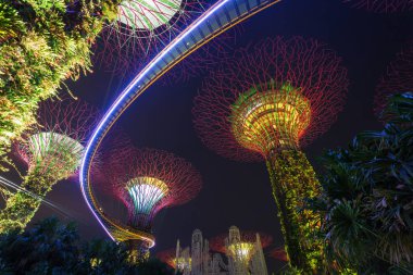 Singapur - 19 Kasım 2016: Supertrees Bay tarafından Gardens. Ağaç benzeri yapıları ağaçlar ışık ve ses gösterisi ekolojik işlevi taklit Çevre teknolojileri ile donatılmıştır