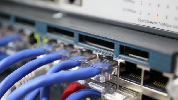 Détails du commutateur réseau chargé et en fonctionnement 