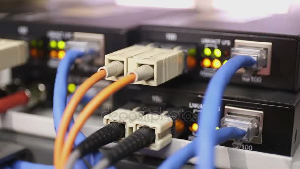 Detalles del conmutador de red cargado y de trabajo con convertidor de medios de fibra (línea de fibra focal ) — Vídeo de stock