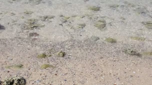 Turquoise zee water golven met zandstrand en steen — Stockvideo