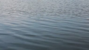 Su yüzey okyanus yüksek tanımlı 1080p