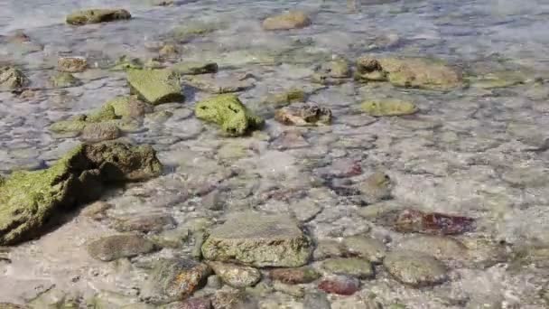 Бирюзовые морские волны с песчаным пляжем и камнем — стоковое видео
