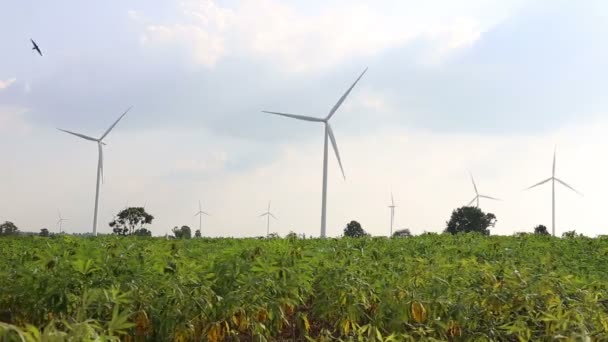 Turbinas eólicas que generan electricidad con cielo, sol y nubes de fondo . — Vídeo de stock