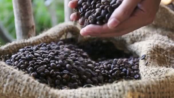 Kvinna händer håller kaffe korn - inuti Stäng upp kvinna händer håller kaffe kornen i varmt ljus på en jute duk — Stockvideo