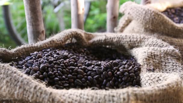 Inside close up of coffee grains in warm light on a jute canvas — Stock Video