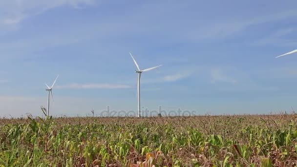 Saubere und erneuerbare Energien, Windkraft — Stockvideo