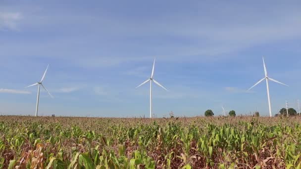 Energia limpa e renovável, energia eólica — Vídeo de Stock