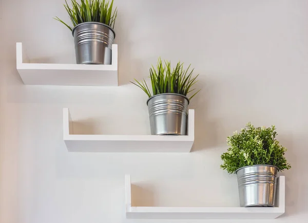 Plantas em vaso de prata na parede branca — Fotografia de Stock