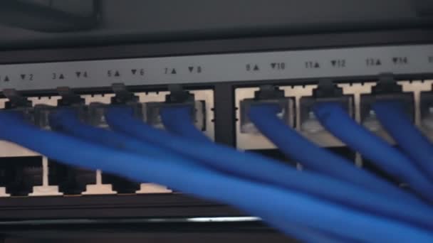 Details Loaded Working Network Switch Server Room Lan Cable Connect — Stock Video