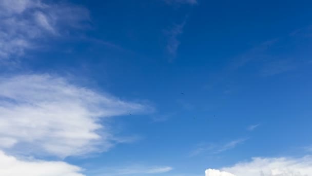 Clip Lapso Tiempo Hermosas Nubes Blancas Nubes Esponjosas Sobre Cielo — Vídeo de stock