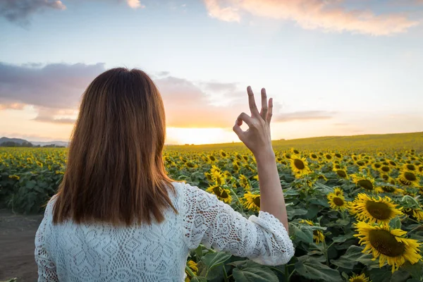 Happy woman in sunflower field. Summer girl in flower field cheerful. Asian Caucasian young woman raise arm OK and freedom show in evening time and twilight.