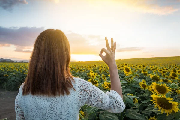 Happy woman in sunflower field. Summer girl in flower field cheerful. Asian Caucasian young woman raise arm OK and freedom show in evening time and twilight.