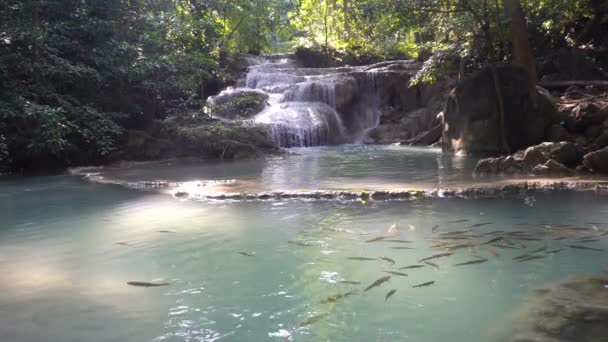 泰国Kanchanaburi的Erawan瀑布 森林深处美丽的瀑布 有着天然的翡翠水池和锑鱼 — 图库视频影像