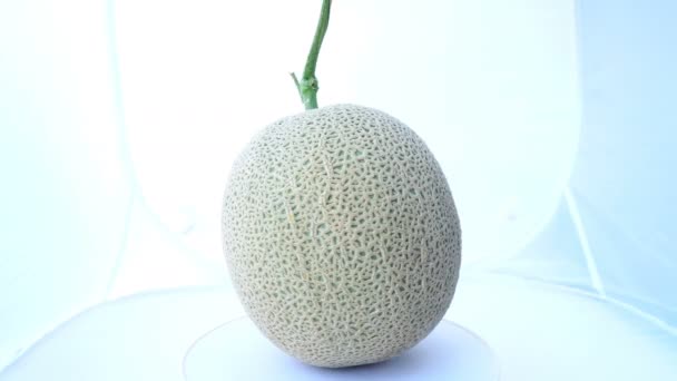 Meloen Draait Een Geïsoleerde Witte Achtergrond — Stockvideo