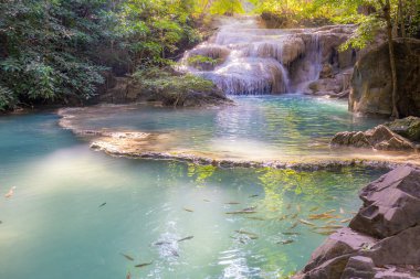 Erawan şelalesinin ulusal parktaki manzarası, Tayland, Kanchanaburi 'de antimon balığıyla birlikte ormanın derinliklerindeki bir şelaledir..