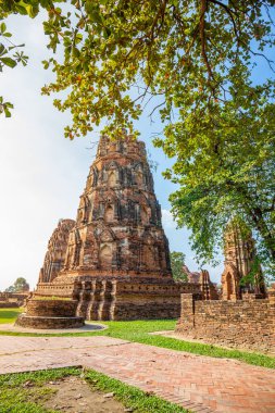 Wat Mahathat, Budist tapınağındaki antik tapınak Bangkok yakınlarındaki Ayutthaya 'da inşa edilmiştir. Tayland