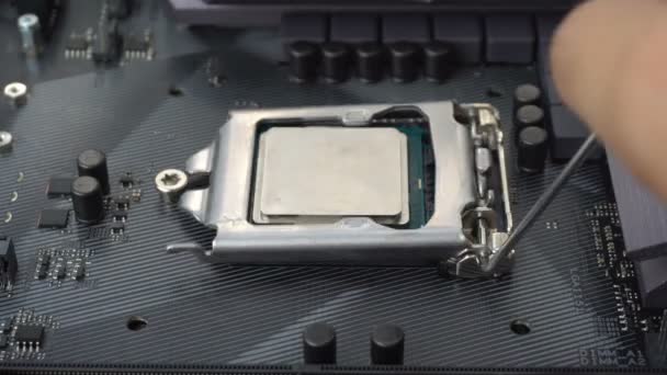 Técnico Que Elimina Reemplaza Microprocesador Cpu Zócalo Placa Base — Vídeo de stock