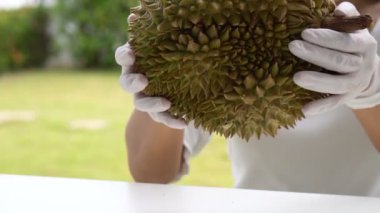 Tayland 'da Durian' ın elle soyulduğu yakın plan. Meyveye kral meyvesi adı verildi.