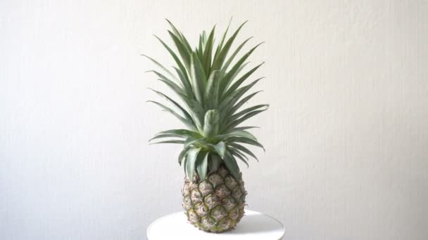 Pineapple Rotating White Background — Stock Video