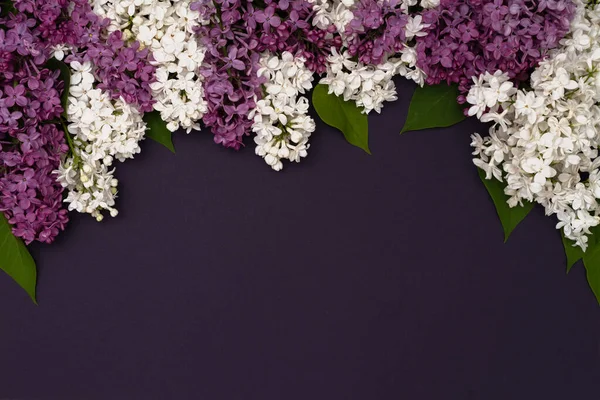 Decorative Frame Lilac Flowers Dark Purple Background Flat Lay Space — Stock Photo, Image