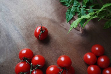 Koyu ahşap arka planda yaprakları olan taze domatesler.