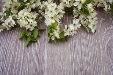 Yazı için boş alanı olan açık ahşap bir arkaplan kiraz çiçekleriyle süslenmiştir.