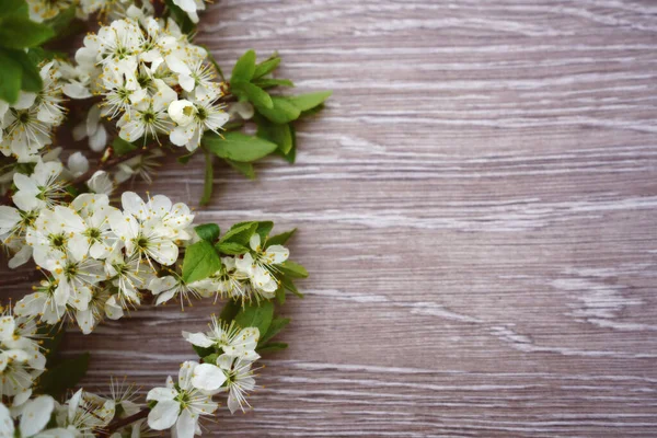 Yazı için boş alanı olan açık ahşap bir arkaplan kiraz çiçekleriyle süslenmiştir.