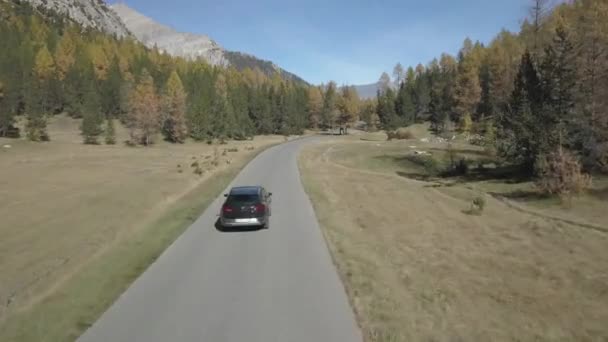 Perspective Aérienne Drone Survolant Les Alpes Une Voiture — Video