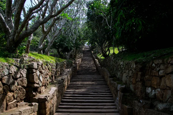 Antigua Escalera Bosque Tropical — Foto de Stock