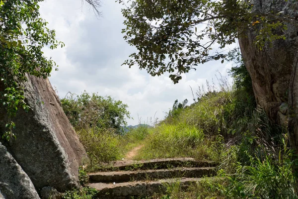 Escadaria Antiga Floresta Tropical — Fotografia de Stock