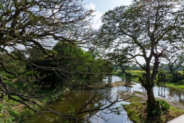 Orman nehri üzerindeki yıkılmış köprü