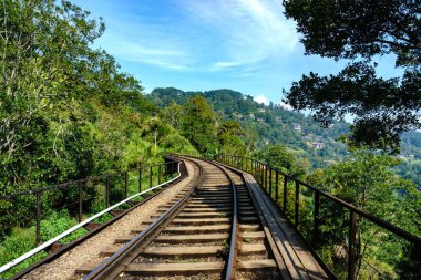 Ormanda demiryolu dizginleri