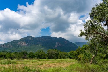 Tropikal kırsal kesimde güneşli bir gün
