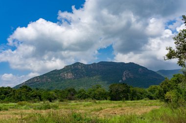 Tropikal kırsal kesimde güneşli bir gün