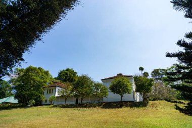 Peradeniya Kraliyet Botanik Bahçesi. Sri Lanka
