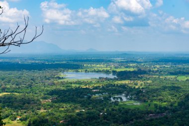 Sisli vadinin güzel manzarası 