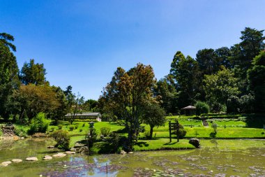 Parkta güneşli bir yaz günü