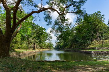 Parkta güneşli bir yaz günü