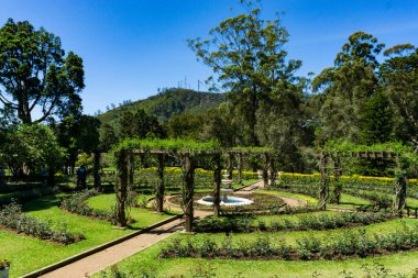 Parkta güneşli bir yaz günü