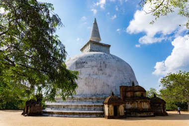 Sri Lanka 'daki Budist aptallığı