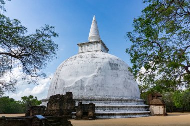 Sri Lanka 'daki Budist aptallığı