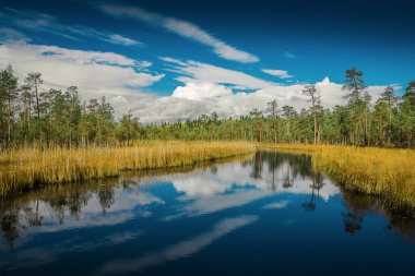 Karelia 'da bilinmeyen bir dere var. Rusya.
