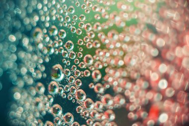 Camın üzerindeki çiy damlaları. Soyut bulanık ve parlak parıltılı ampuller yeşil arka plandaki arka plan ışıkları. Gradyan arkaplan üzerindeki arka ışıklandırma bokeh daireleri.