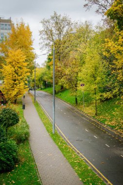 Şehirde sonbahar yaprakları parkın patikalarında
