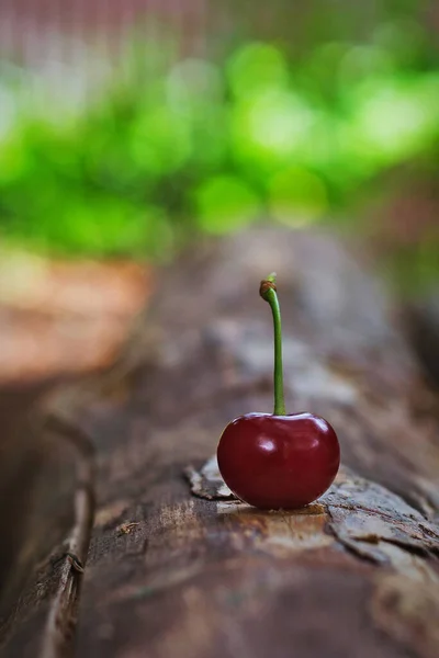 Juicy red cherry on a log in a summer hot day against a blurred green bokeh background