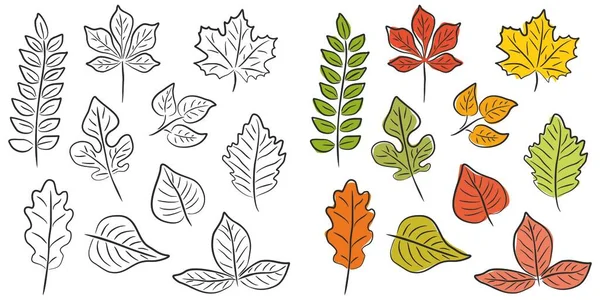 輪郭に異なる木の葉のベクトルセット 白い背景に手作りの装飾要素 色分離図 — ストックベクタ