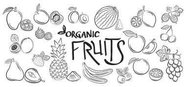Big set of fruits and vegetables doodle on a white background. Vegetarian healthy food, isolated sketches for the menu of restaurants, cafes, etc. Hand drawing vector illustration. vector